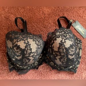 NWOT DITA VON TEESE Elegant Black Lace Bra - Size 36F